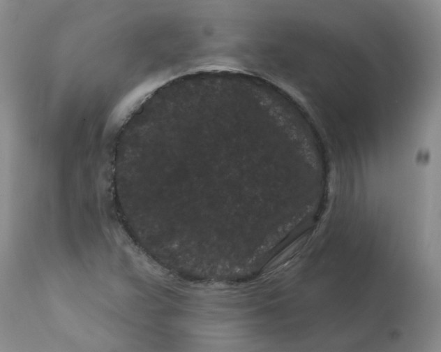 X0000113161359200909251342