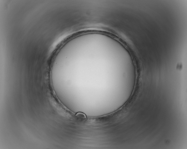 X0000113161360200909251342