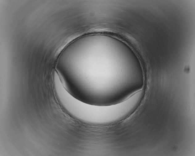 X0000113161361200909251342