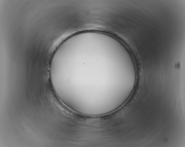 X0000113161363200909251342