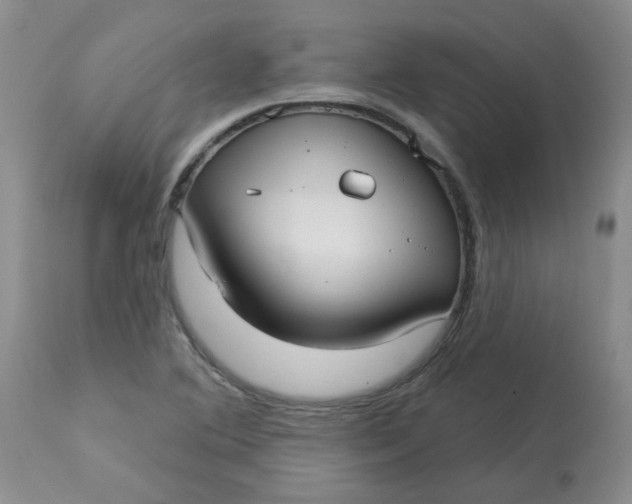 X0000113161364200909251341