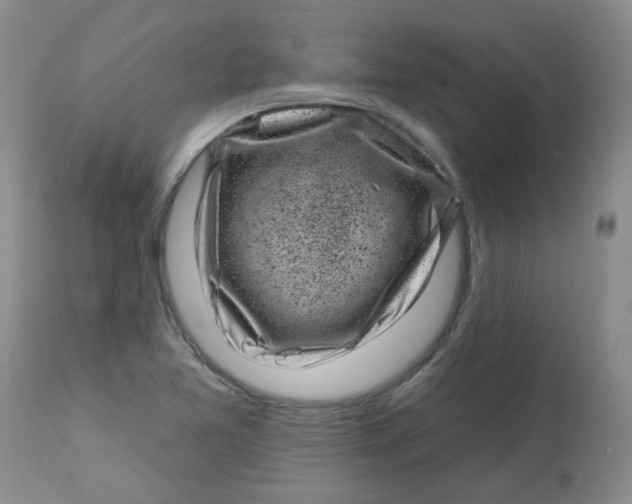 X0000113161365200909251341