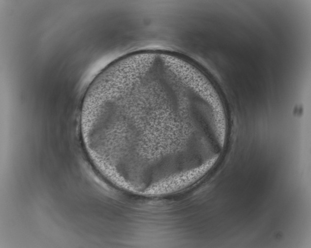 X0000113161367200909251341