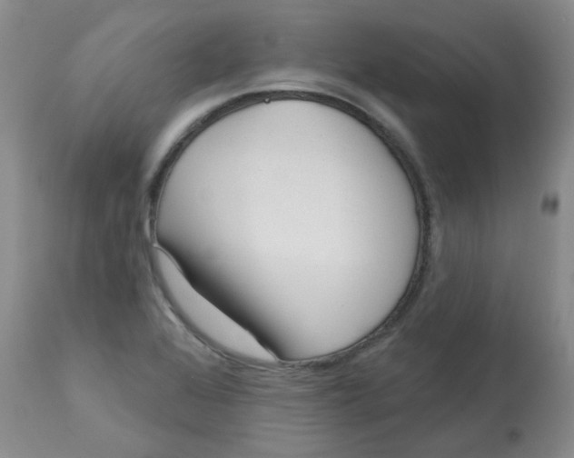 X0000113161368200909251341