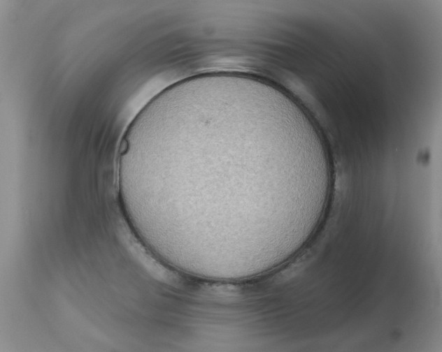 X0000113161370200909251341