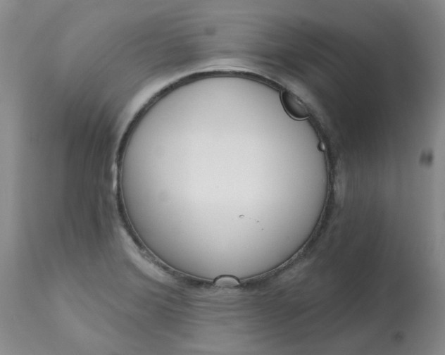 X0000113161372200909251341