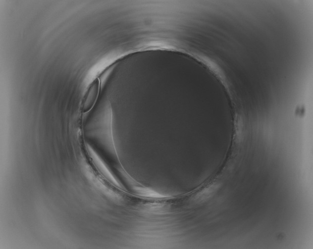 X0000113161373200909251341