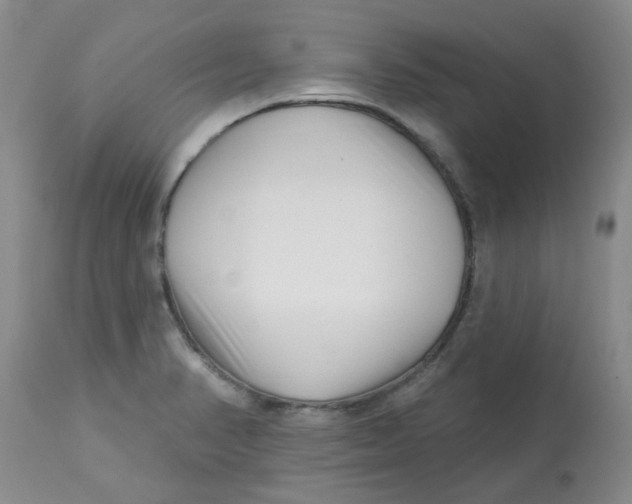 X0000113161374200909251341