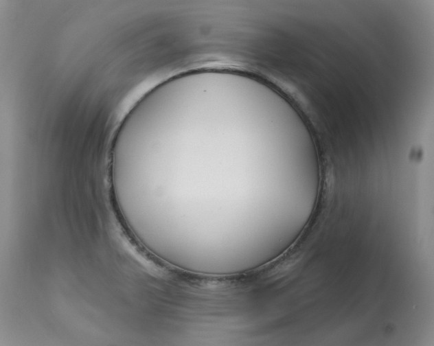 X0000113161375200909251341