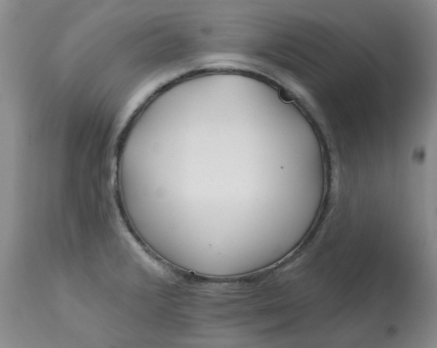 X0000113161376200909251341