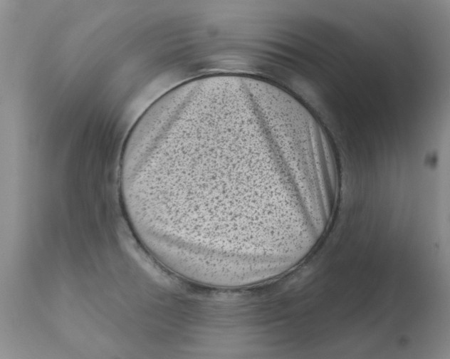 X0000113161378200909251341