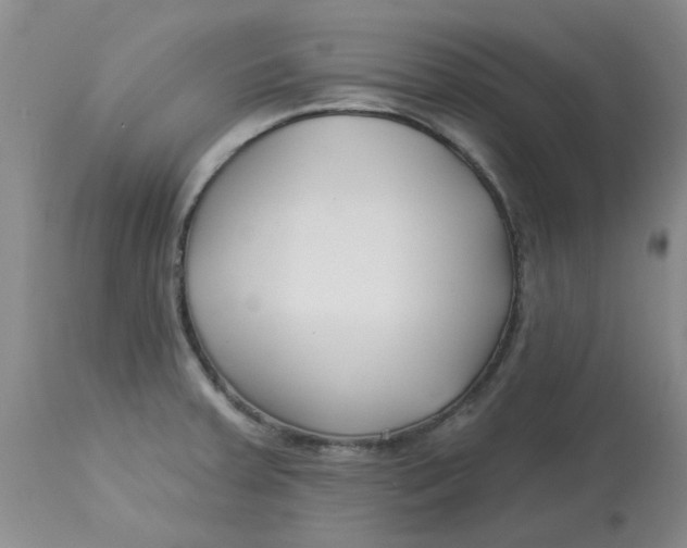 X0000113161379200909251341