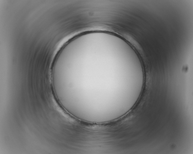 X0000113161380200909251341