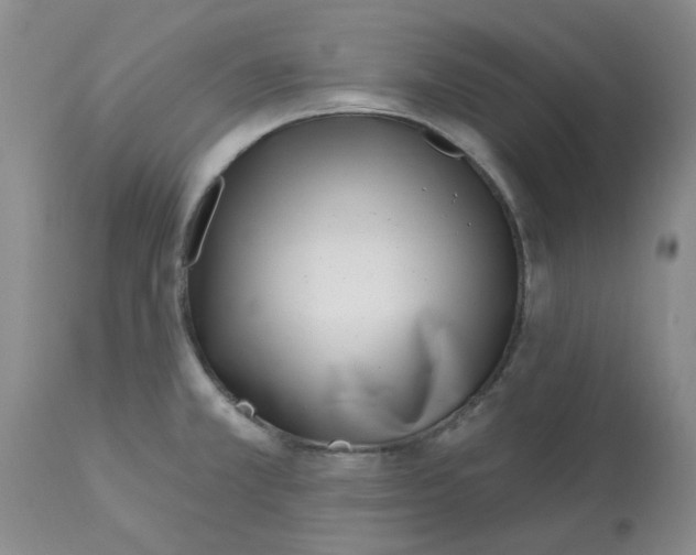 X0000113161381200909251341