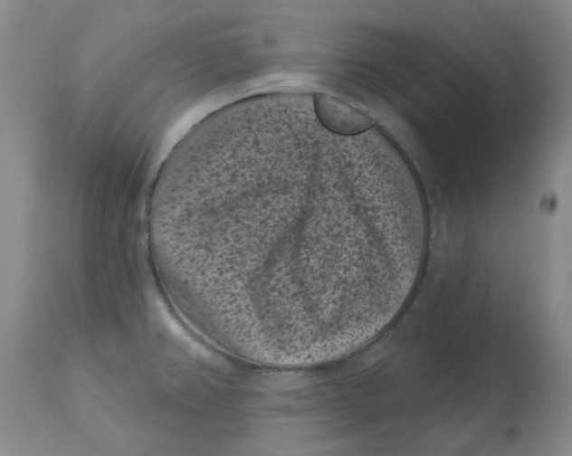 X0000113161382200909251341