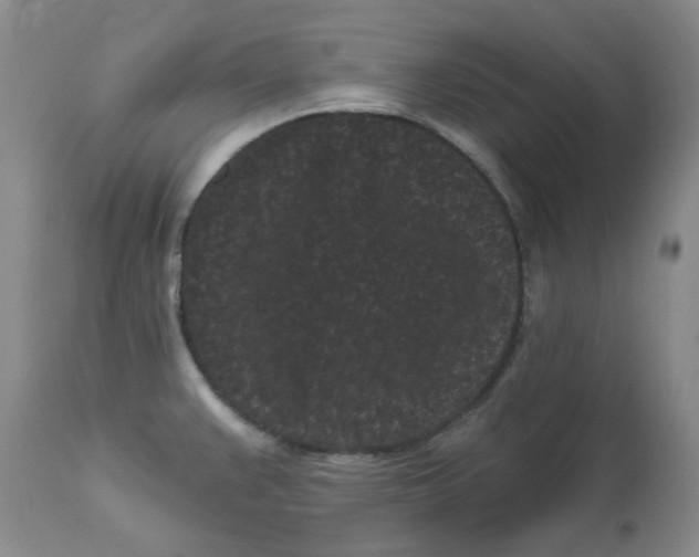 X0000113161383200909251341