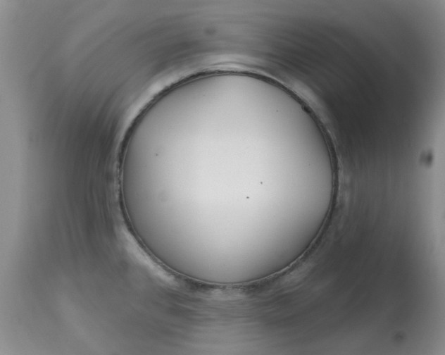 X0000113161384200909251341