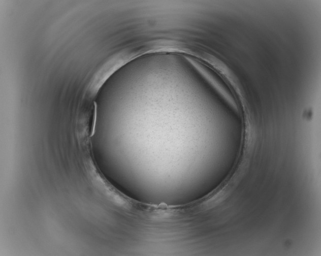 X0000113161385200909251341