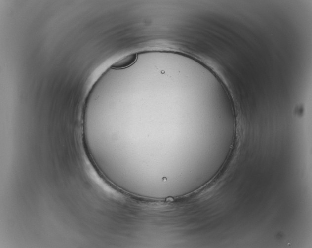 X0000113161387200909251341