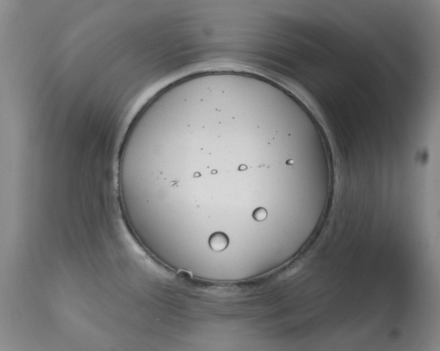 X0000113161388200909251341