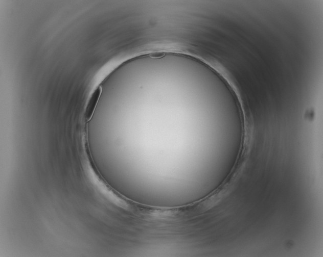 X0000113161389200909251341