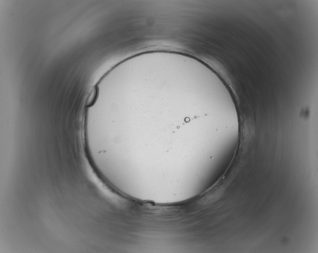 X0000113161391200909251341