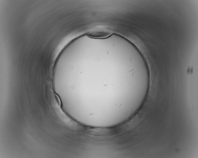 X0000113161392200909251341