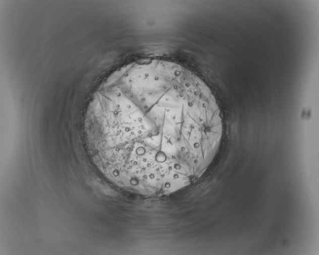 X0000113161393200909251340