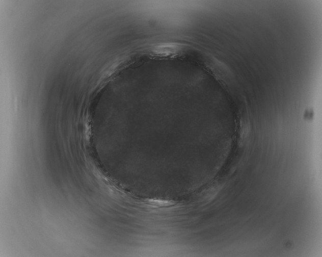 X0000113161394200909251340