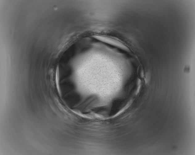 X0000113161396200909251340