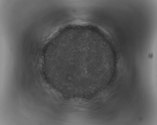 X0000113161397200909251340