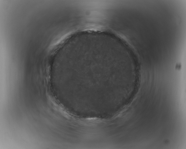 X0000113161399200909251340