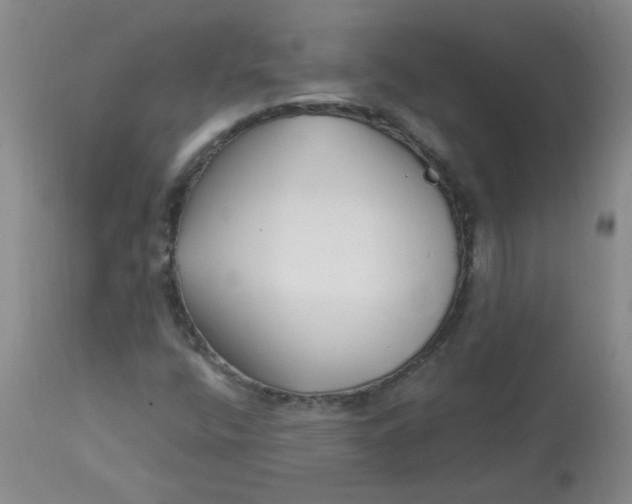 X0000113161400200909251340