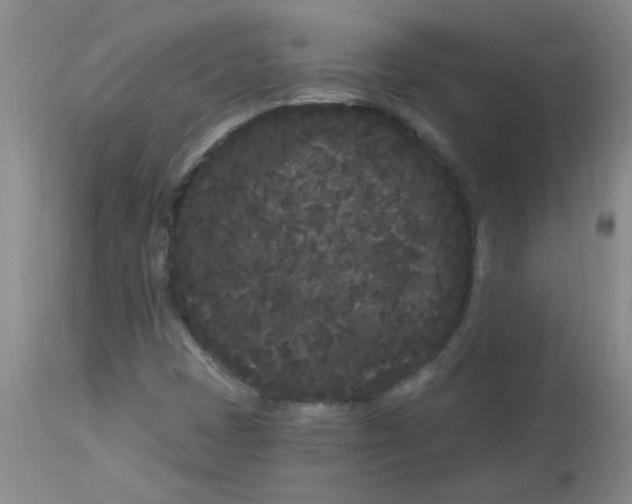 X0000113161401200909251340