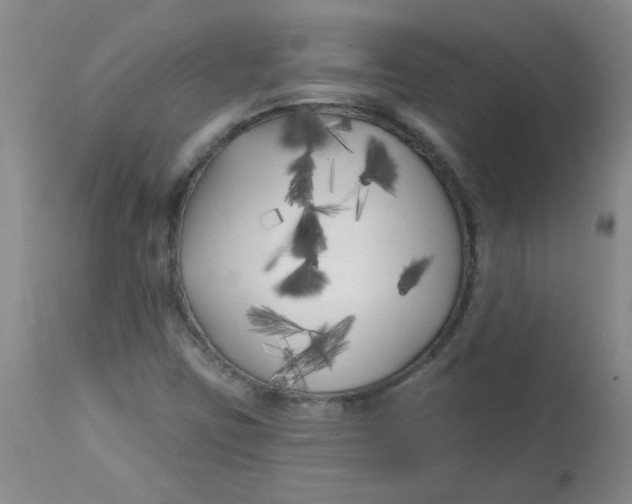 X0000113161403200909251340