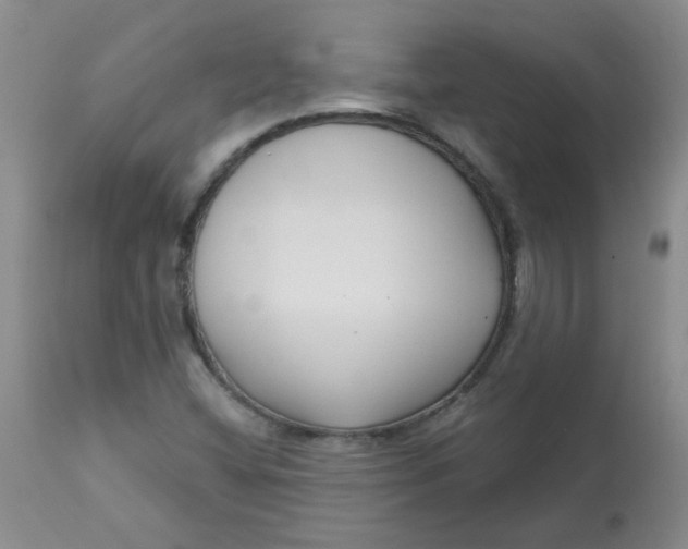 X0000113161404200909251340