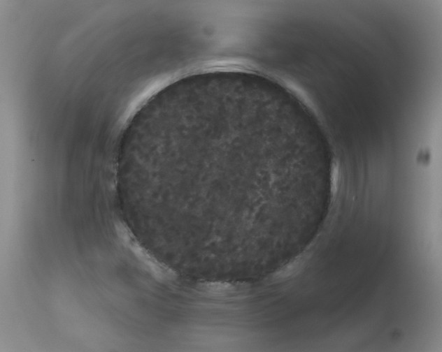 X0000113161405200909251340