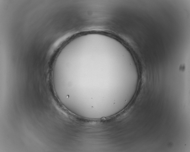 X0000113161406200909251340