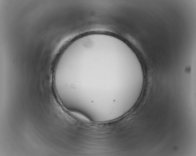 X0000113161408200909251340