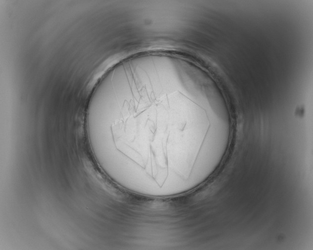 X0000113161409200909251341