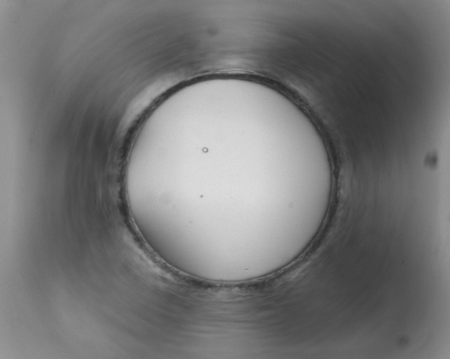 X0000113161410200909251341