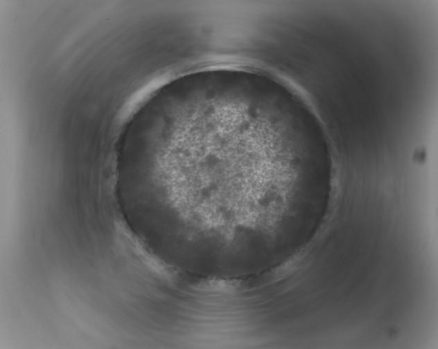 X0000113161411200909251341