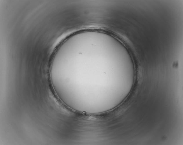 X0000113161412200909251341