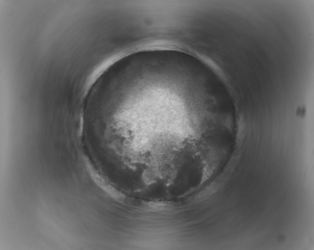 X0000113161413200909251341