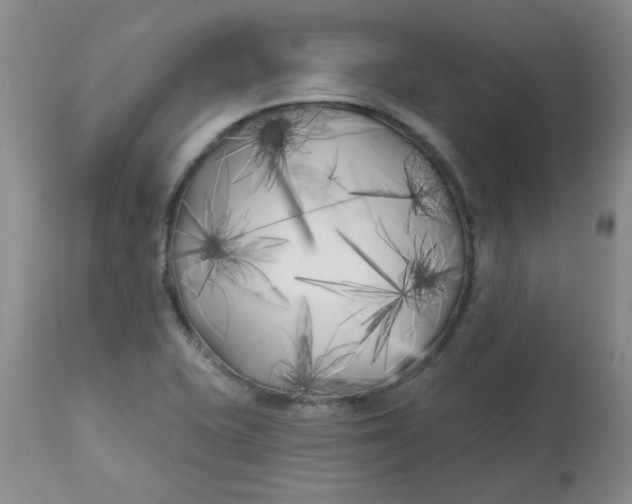 X0000113161415200909251341