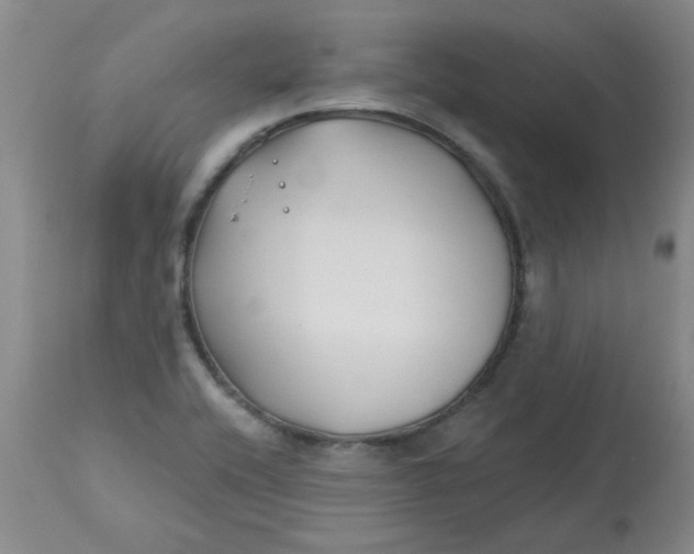 X0000113161416200909251341