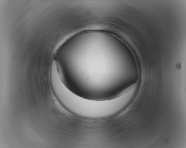 X0000113161417200909251341