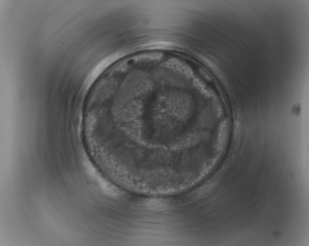 X0000113161418200909251341