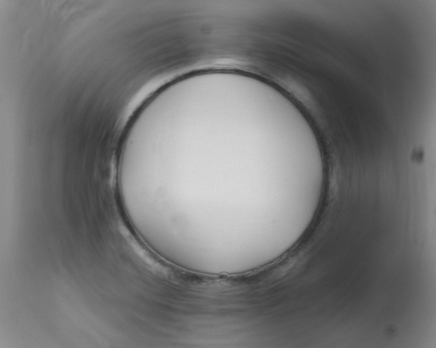 X0000113161420200909251341