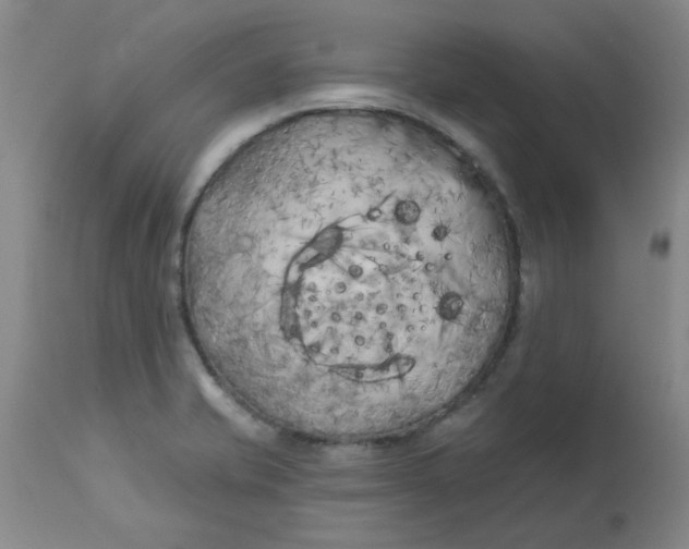 X0000113161421200909251341